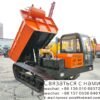 TRACK DUMP TRUCK made by LAIZHOU，Loading capacity 5 tons  , produced in 2024 100%NEW